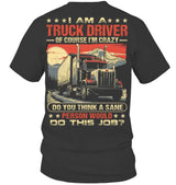 Truck Driver 3