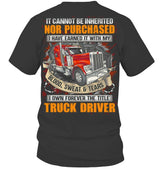 Truck Driver 3