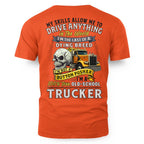 My Skills Allow Me to Drive Anything I'm a 100% True Old School Trucker